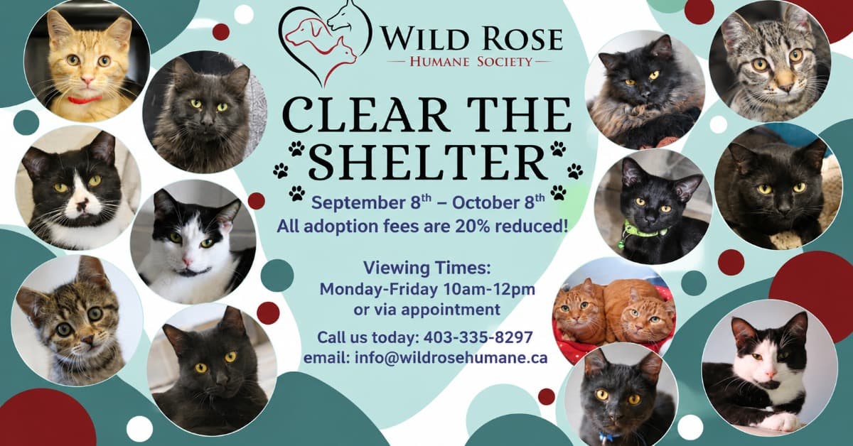 🐾 Non-Profit Spotlight: Wild Rose Humane Society: Didsbury, Alberta